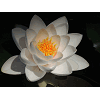 DSCN3628